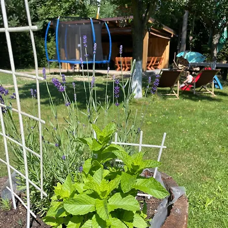 Diana Кемпинг Mlynceky