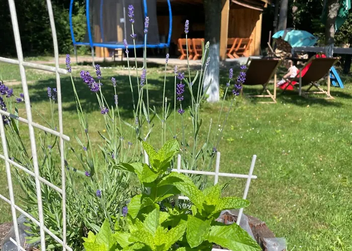 Diana Camping Mlynceky